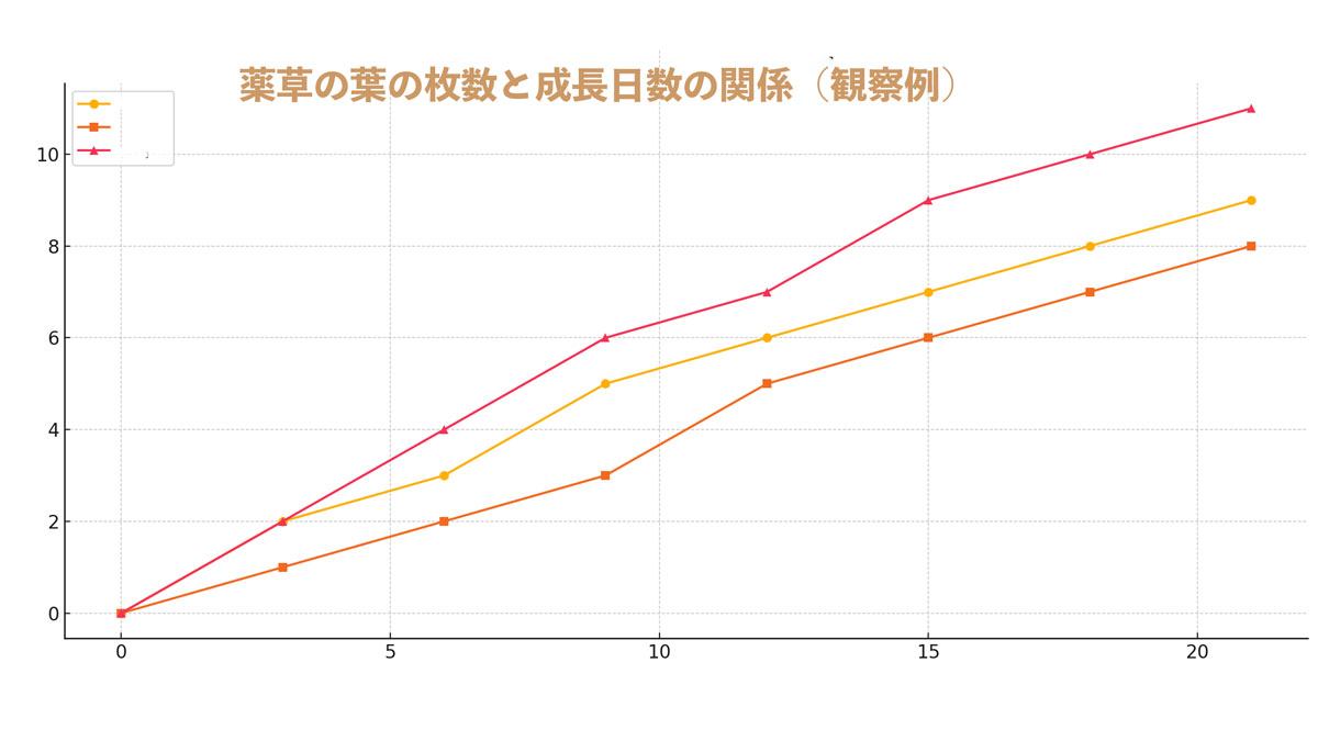 カモミール・シソ・バジルの葉の枚数と成長日数の関係を表した自由研究用グラフの一例です。