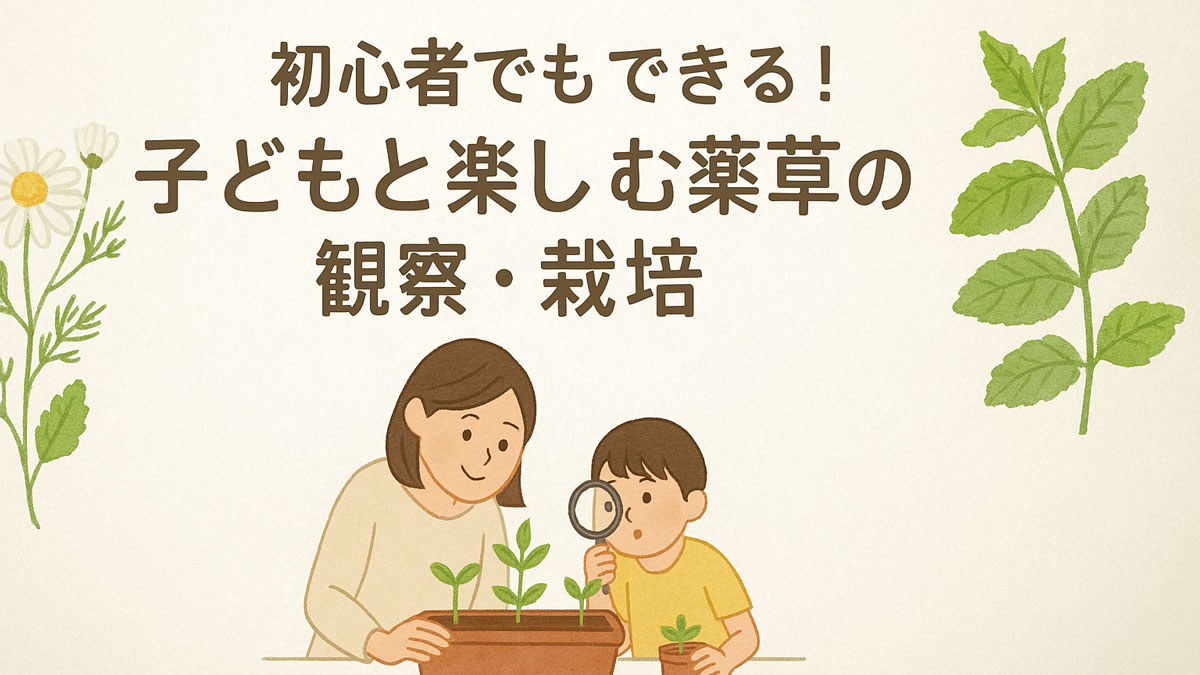 薬草の観察・栽培を楽しむ親子のイラスト。カモミールやミントなどの薬草イメージと共に、「初心者でもできる！子どもと楽しむ薬草の観察・栽培」という日本語テキストが中央に配置され、優しいナチュラル系の配色で描かれている。
