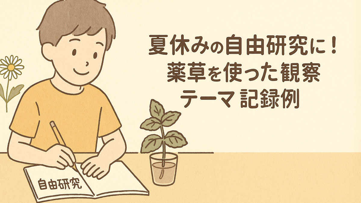 夏休みの自由研究で薬草の観察記録をつける子どものイラスト。机の上にはノートと鉢植えの薬草があり、右寄せで「夏休みの自由研究に！薬草を使った観察テーマ記録例」の日本語テキストが配置されたナチュラルで優しい雰囲気の画像。